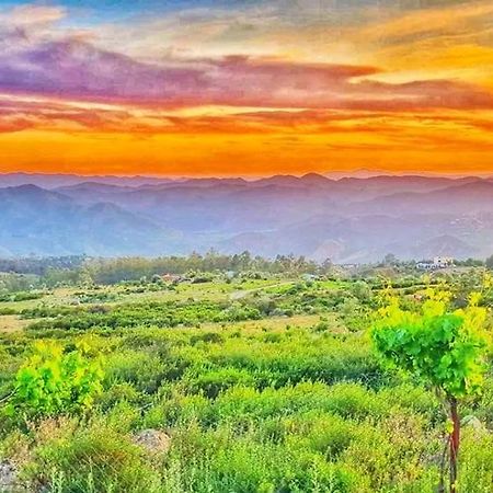Gite El Houmar Tanakoub Dış mekan fotoğraf